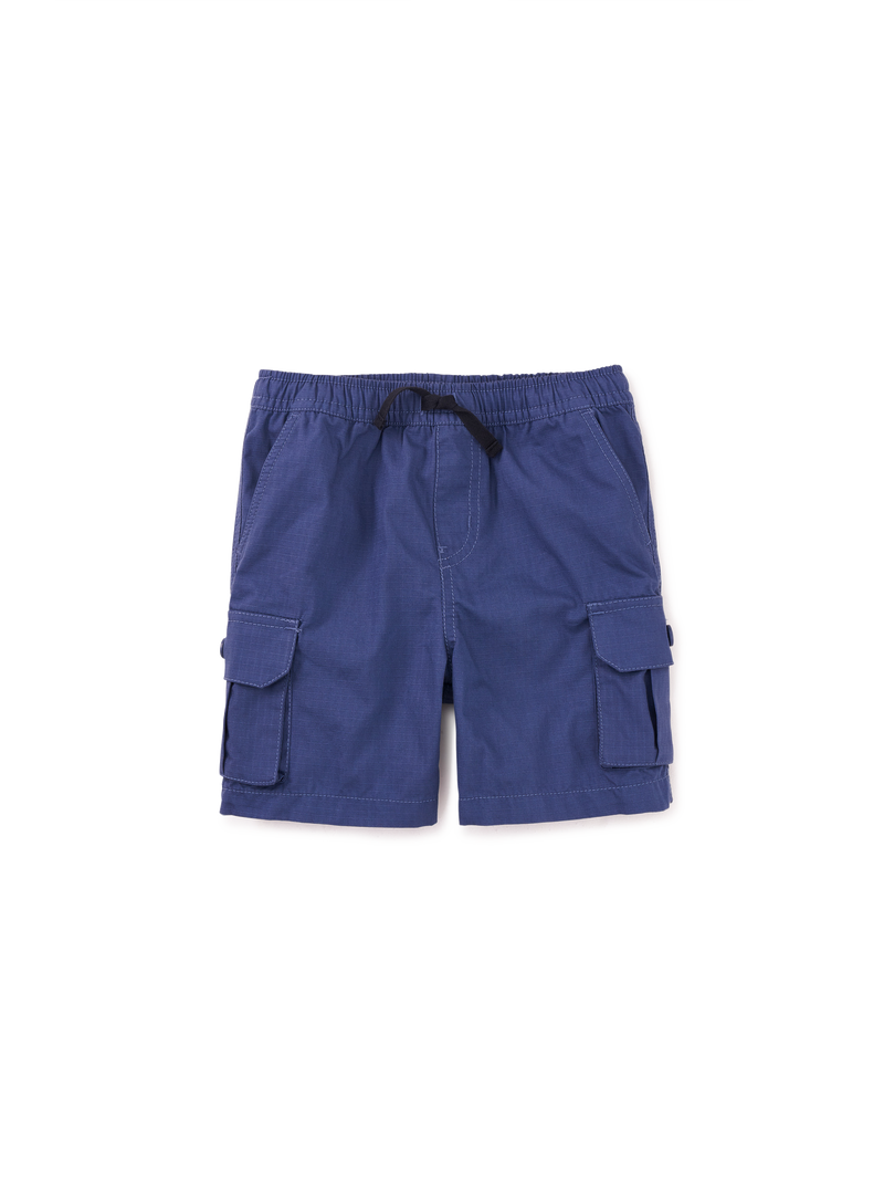Ripstop Cargo Shorts in Triumph - View 1