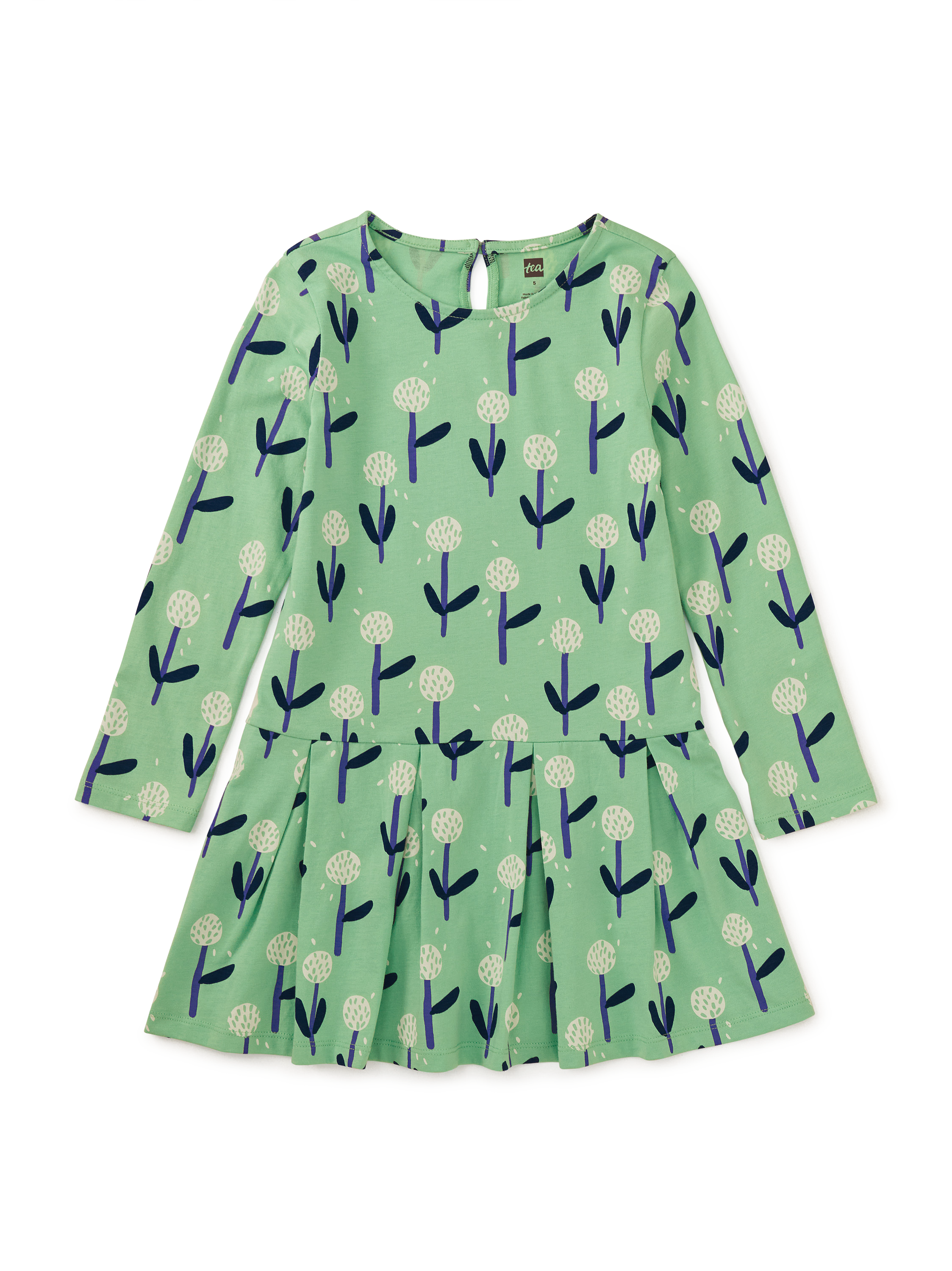 Long Sleeve Pleated Skater Dre