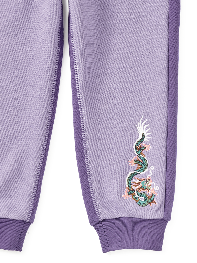 Colorblock Dragon Joggers in Ultraviolet - View 2