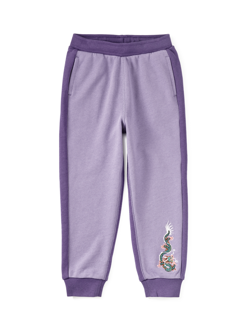 Colorblock Dragon Joggers in Ultraviolet - View 1