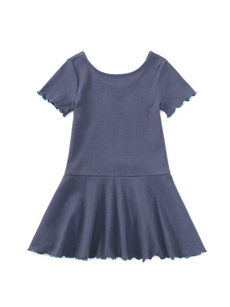 Ruffle Skater Ribbed Dress in Triumph - View 1