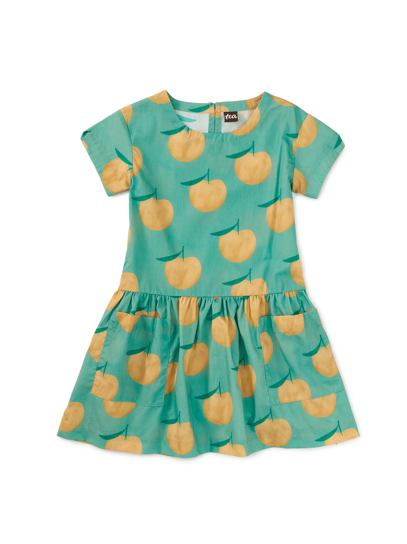 Pocketful Of Fun Dress in Asian Pear - View 1