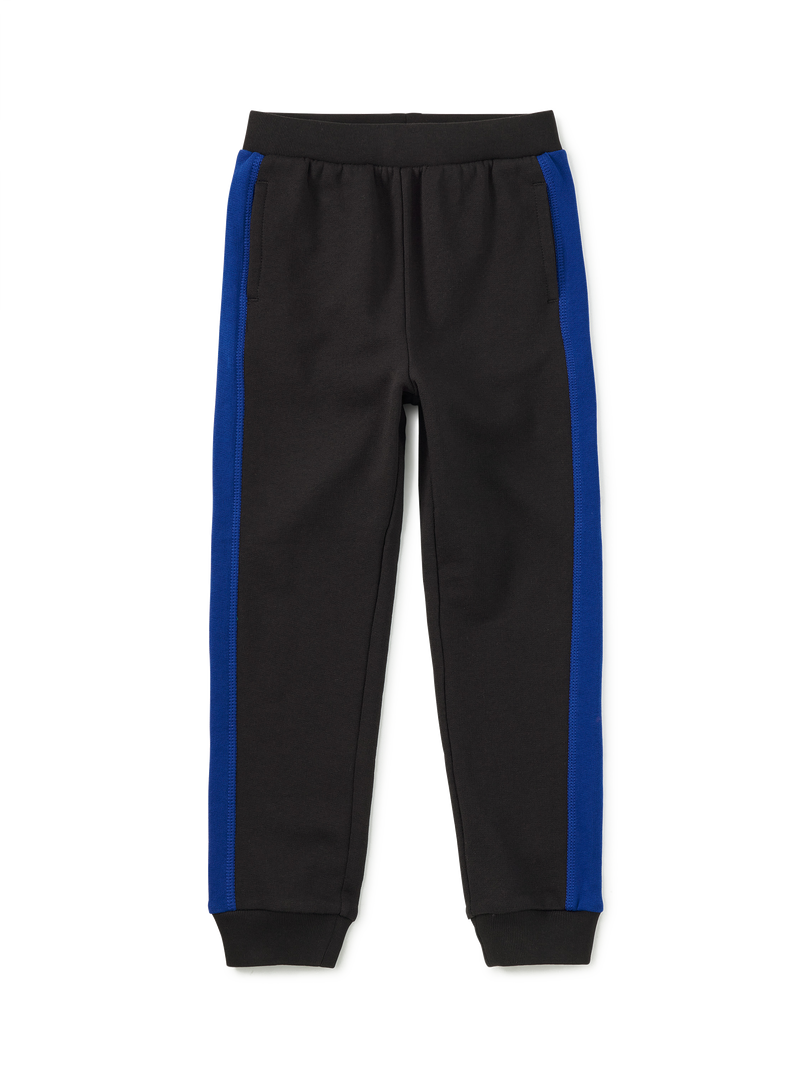 Colorblock Stripe-Out Joggers in Jet Black - View 1