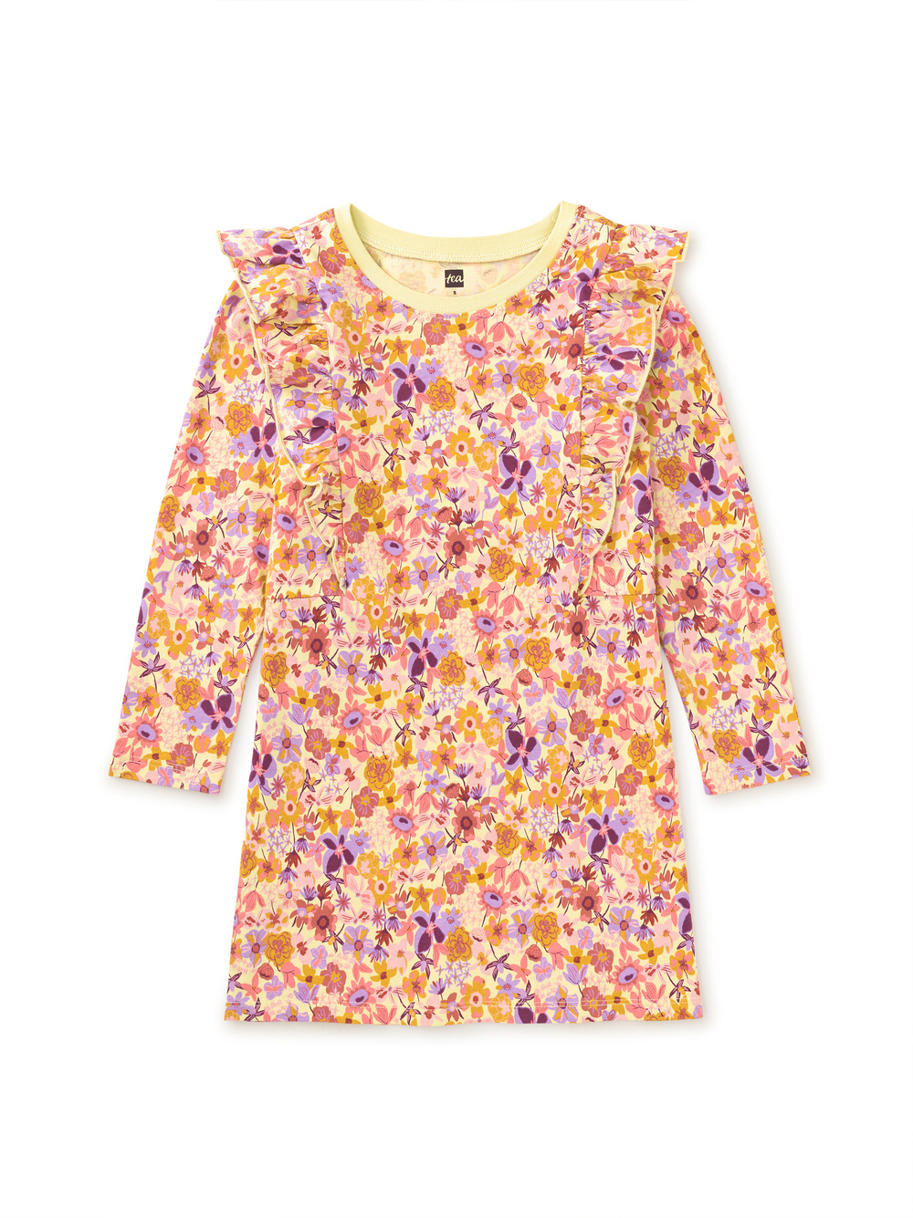 Ruffle Sleeve A-Line Dress