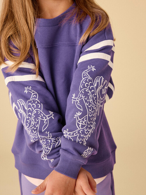 Sporty Dragon Sleeve Popover