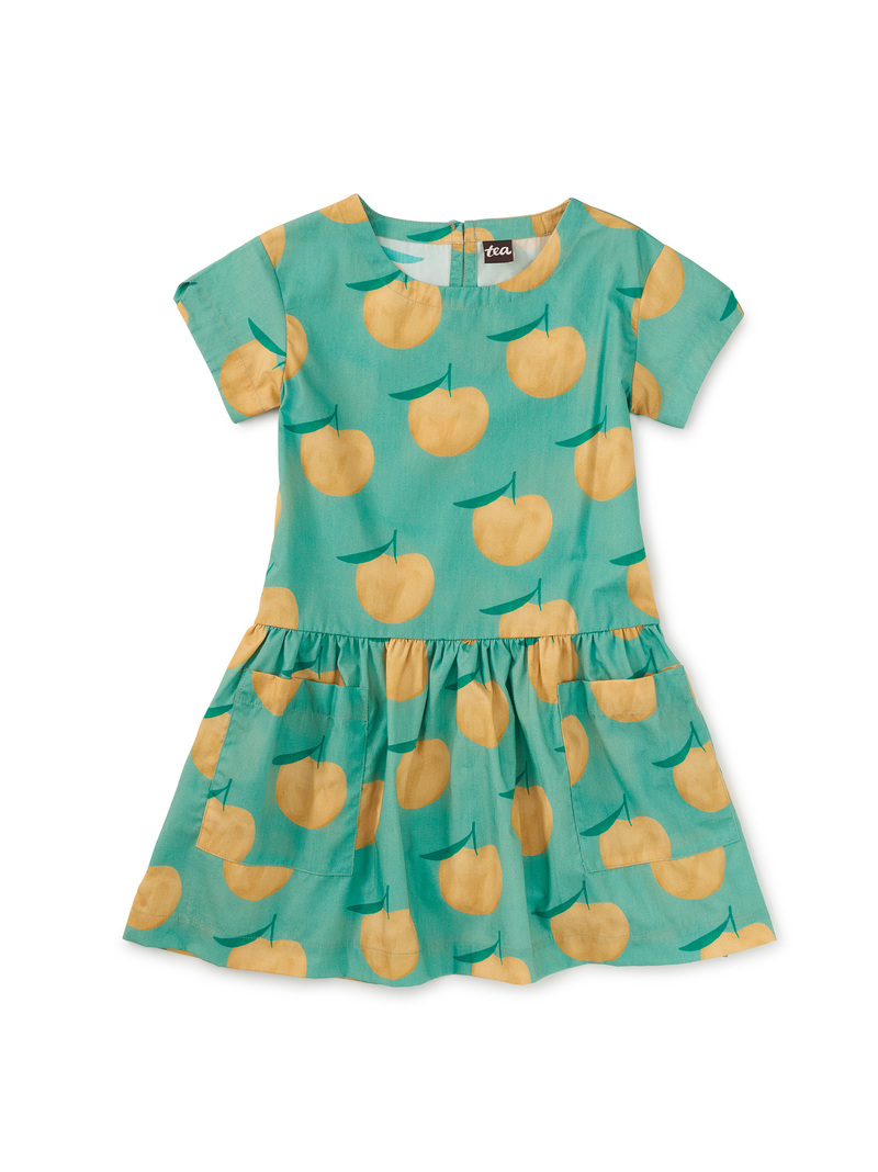 Pocketful of Fun Dress