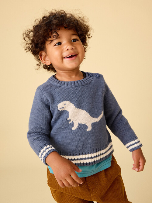 Baby Dino Sweater