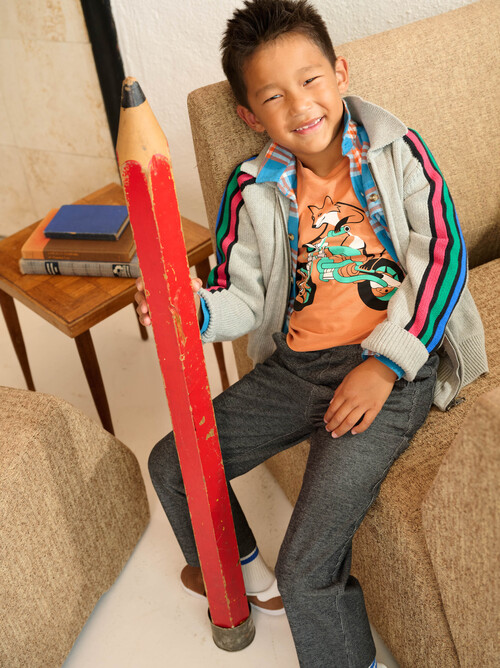 Stripe Sleeve Zip Sweater