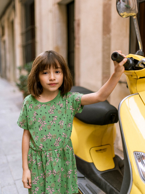 Short Sleeve Twirl Dress