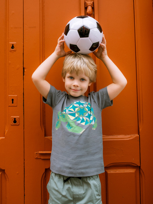 Mosaic Turtle Graphic Tee