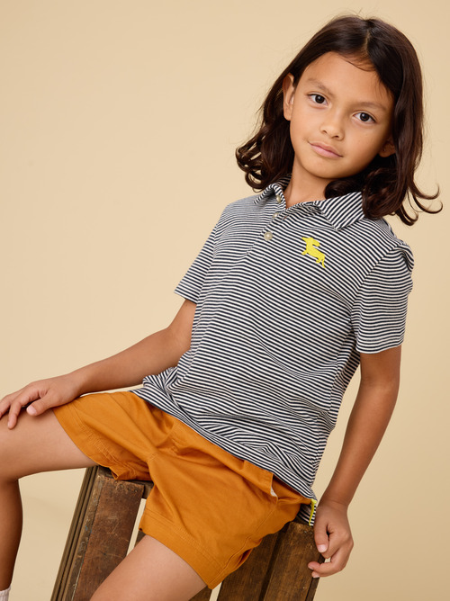 Striped Embroidered Polo