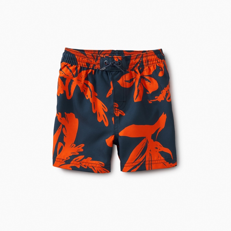 Patterned Baby Swim Trunks