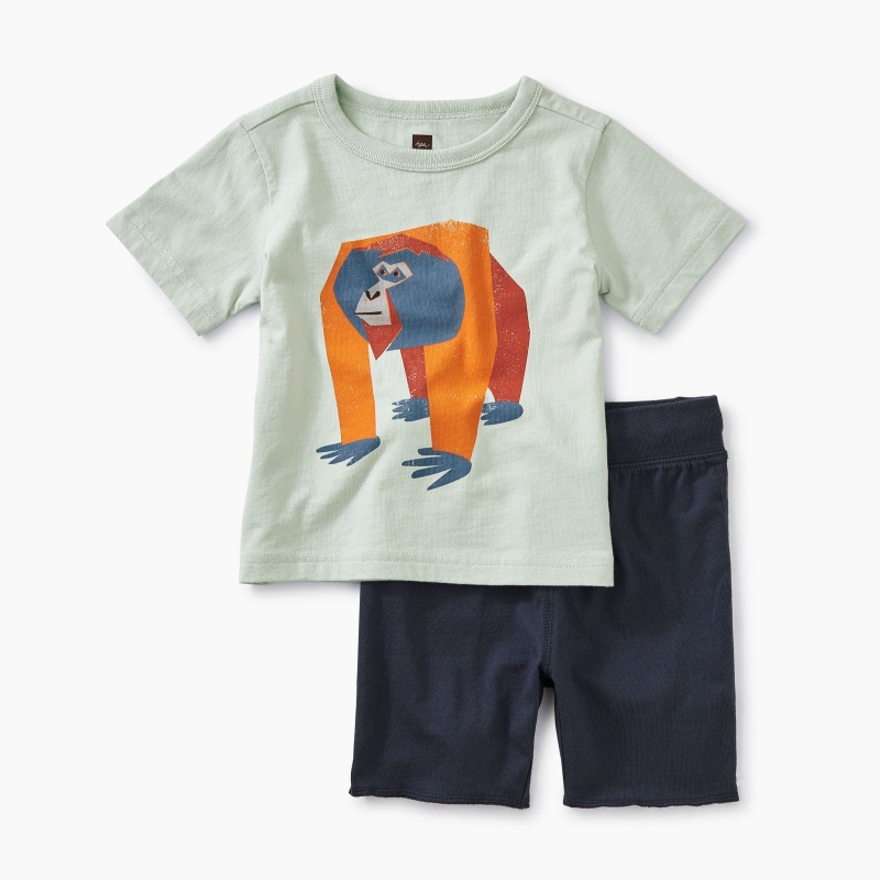 Orangutan Set