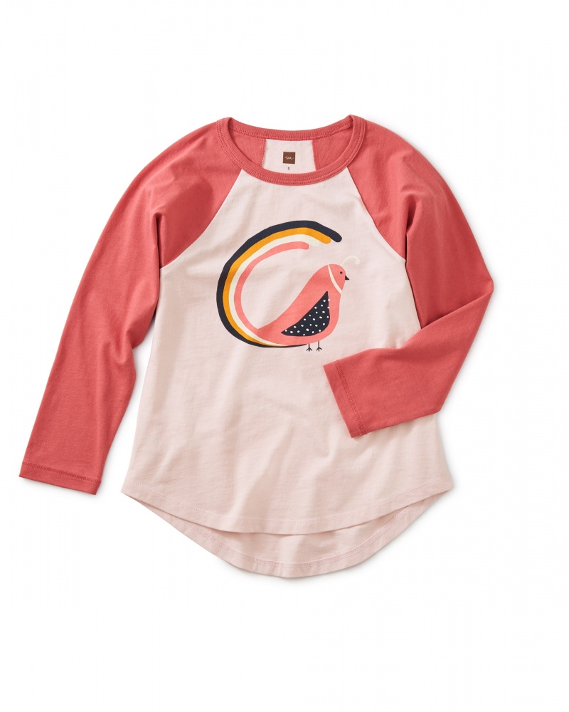 Quail Tail Graphic Raglan Tee