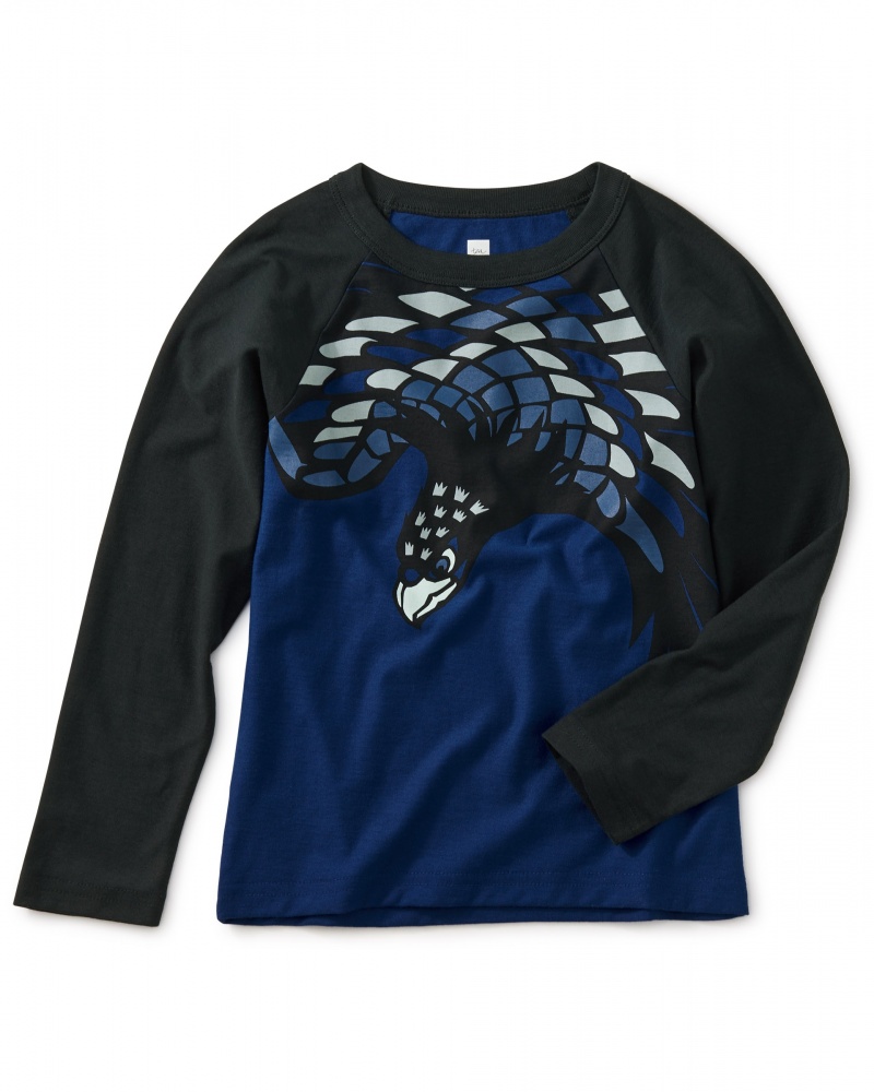 Eagle Graphic Raglan Tee