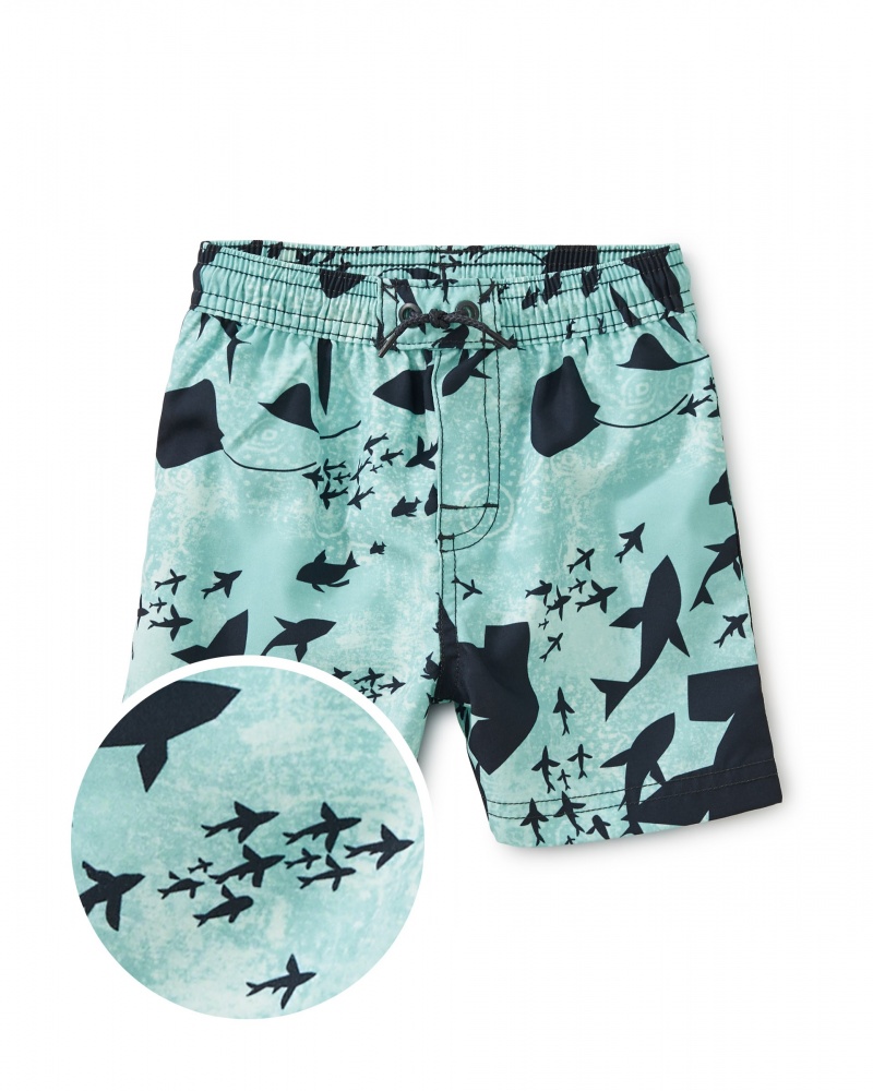 Printed Baby Swim Trunks