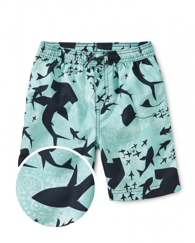 Printed Swim Trunks