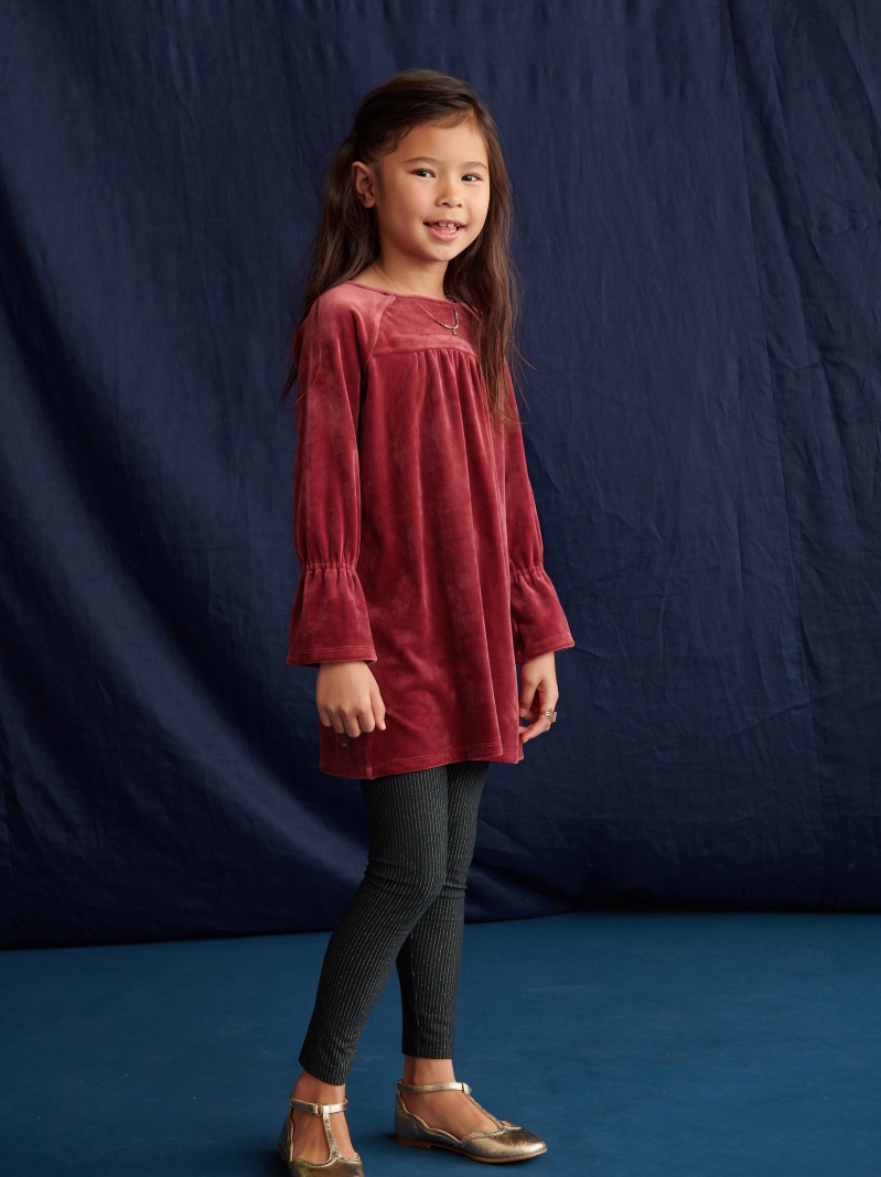 Velour Bell Sleeve Dress