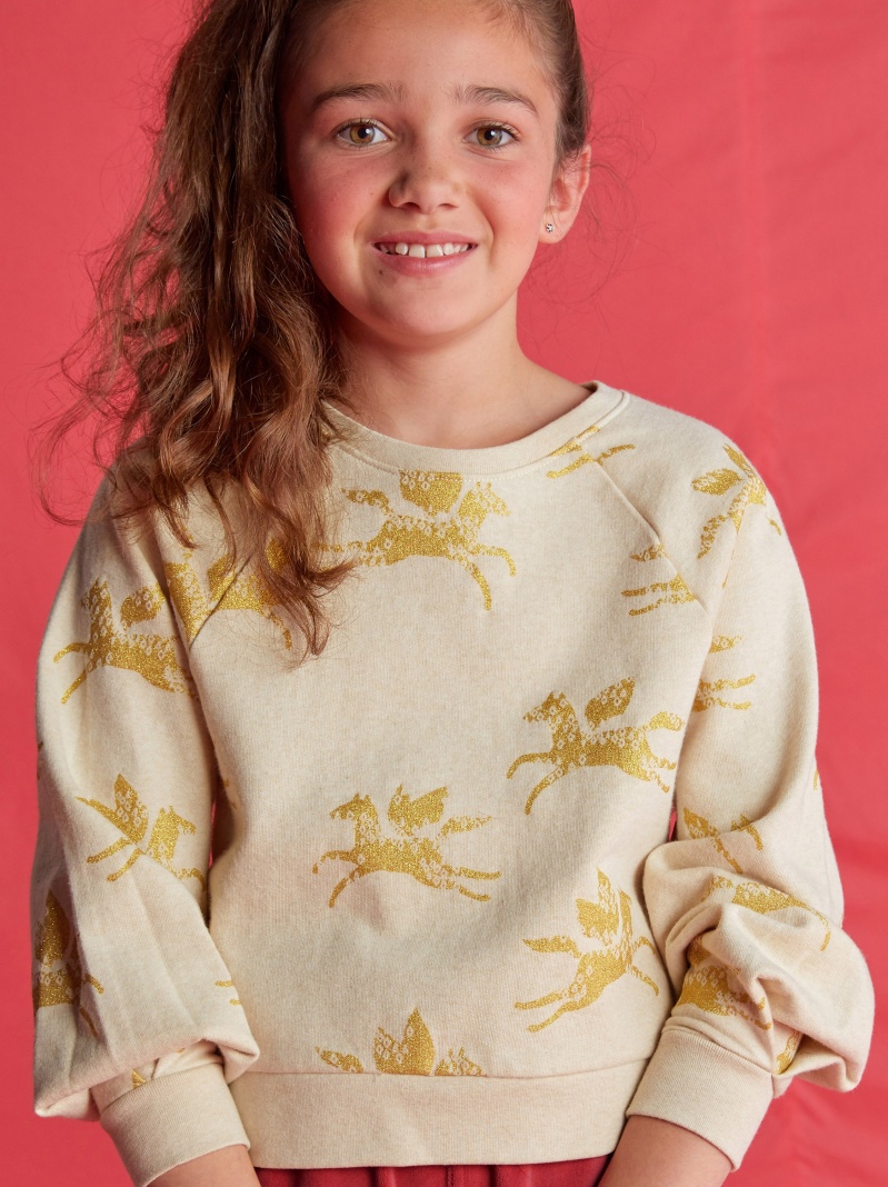 Metallic Wind Horse Sweatshirt