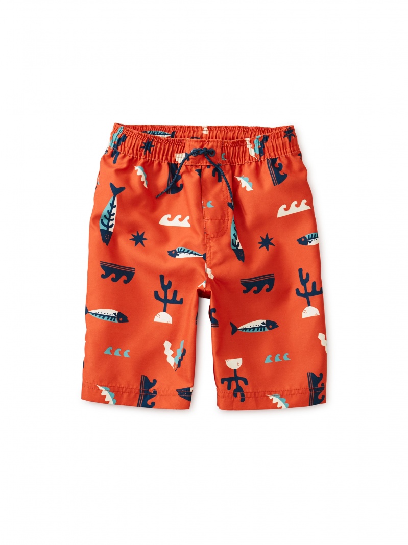 Printed Swim Trunks