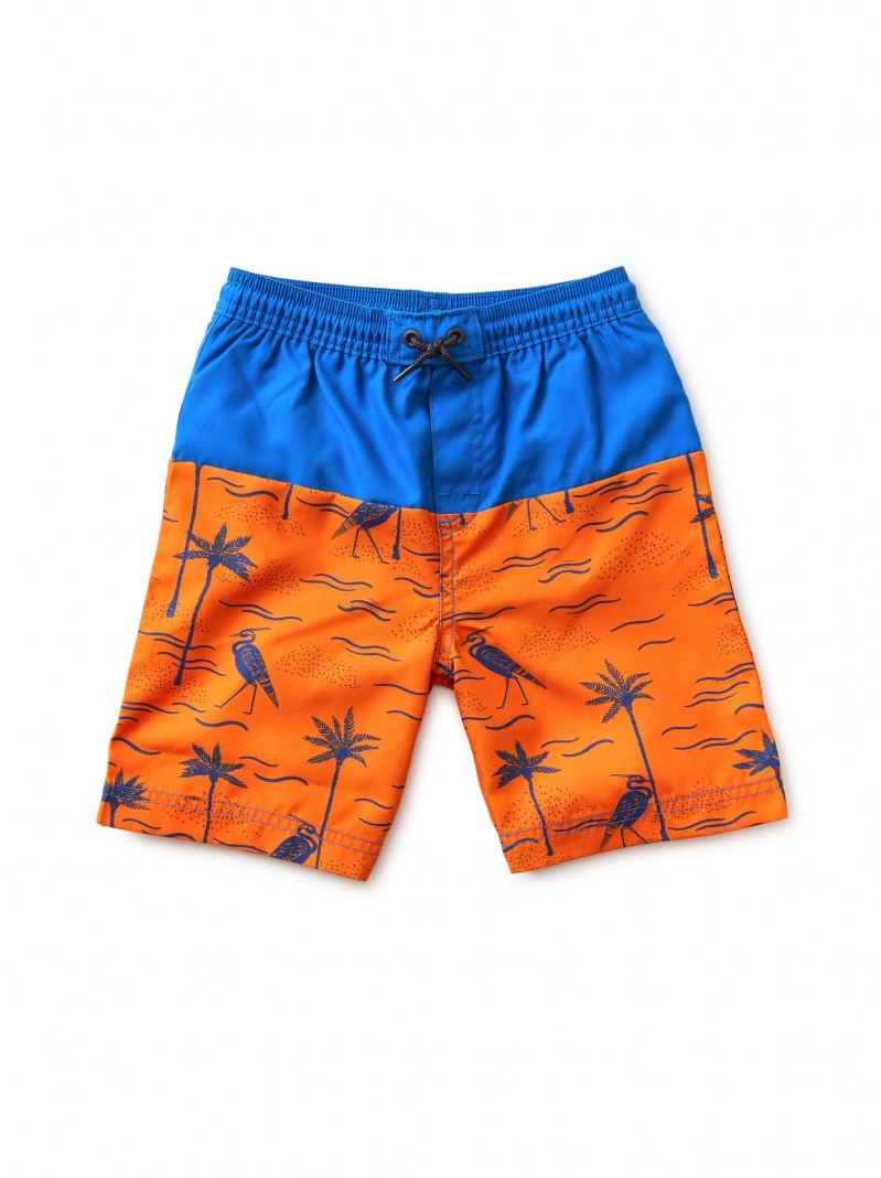 Colorblock Full-Length SwimTrunks
