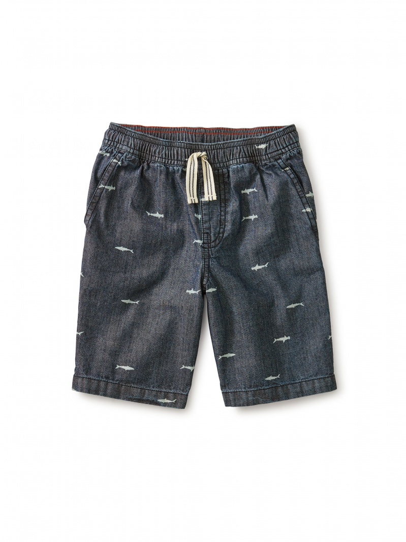 Chambray Discovery Short