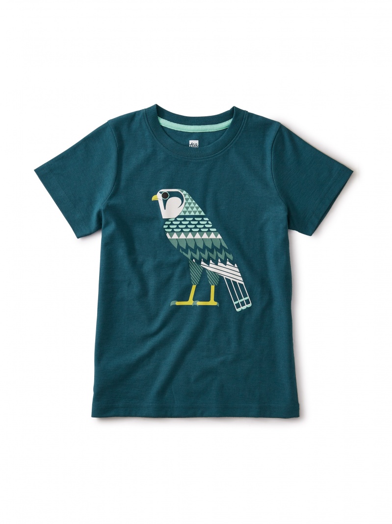 
Horus Falcon Graphic Tee