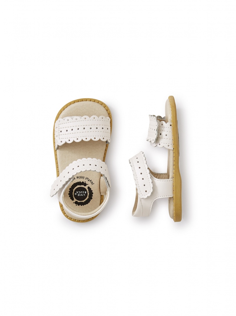 Livie & Luca Posey Shoe