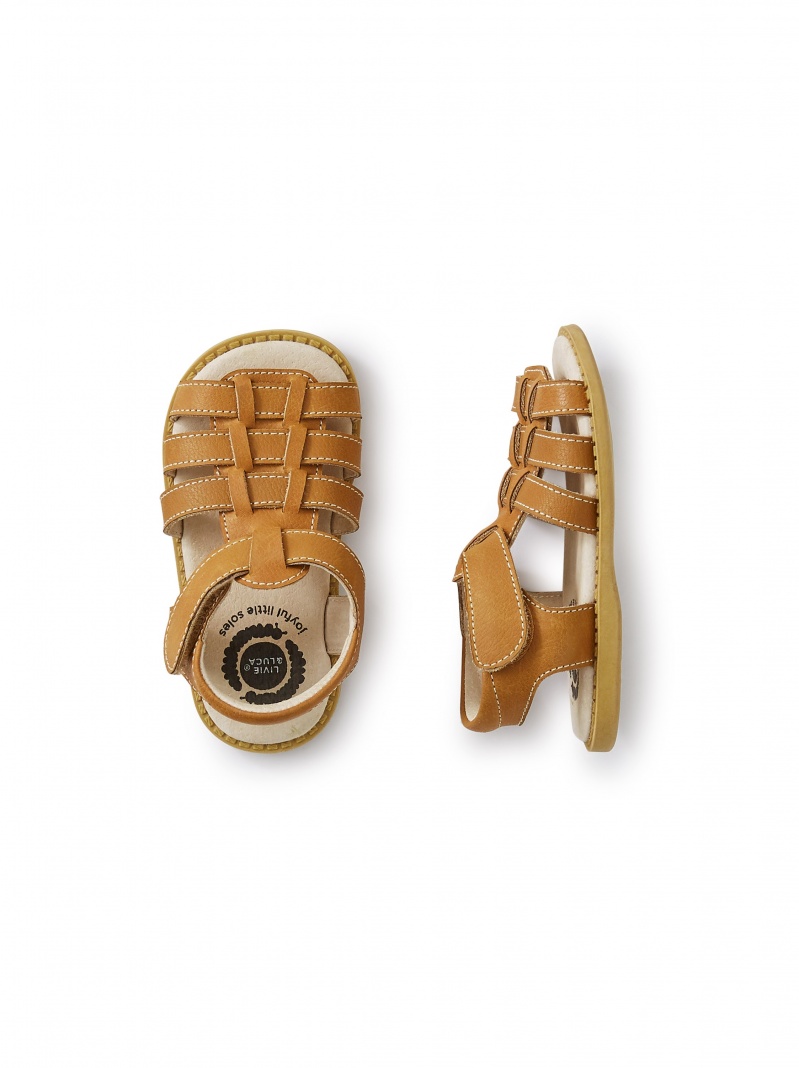 Livie and Luca Finn Shoe