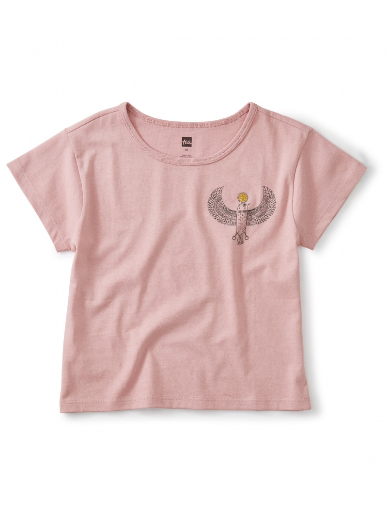 Spirit Of The Horus Falcon Tee