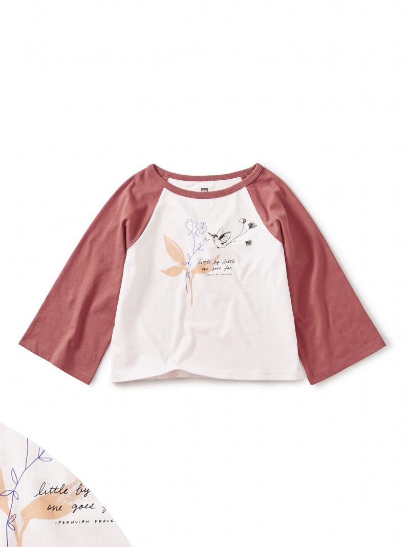 Peruvian Hummingbird Raglan Gr