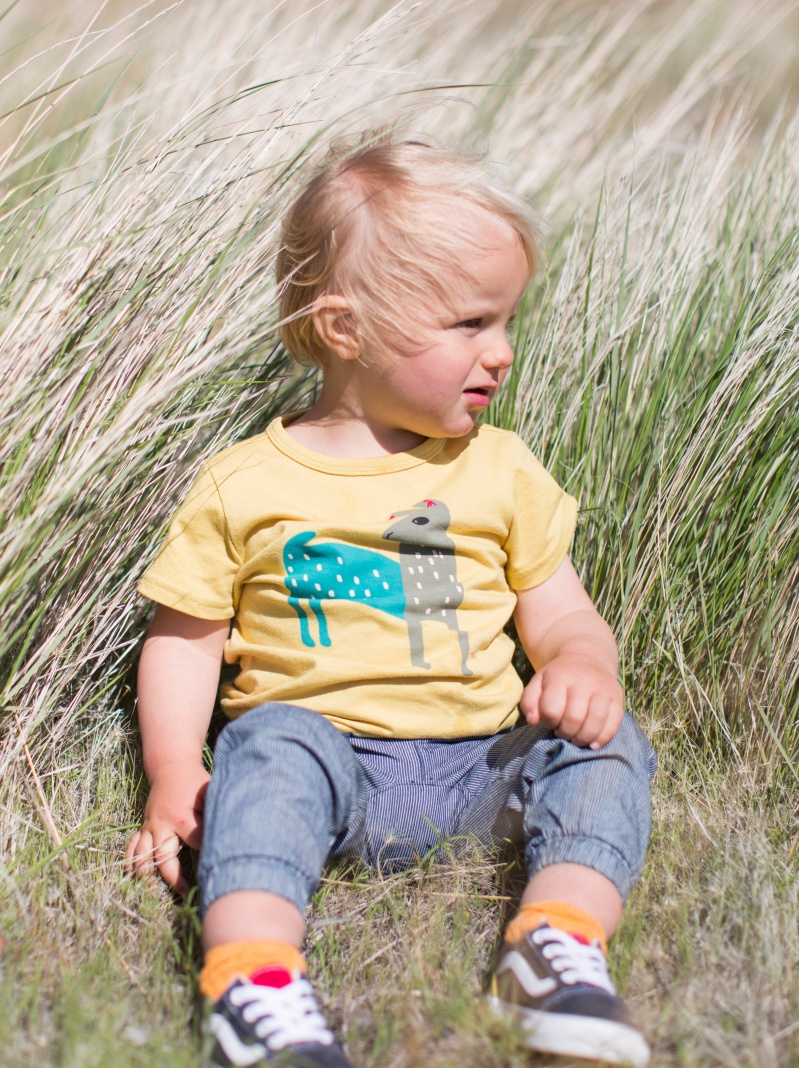 Hola Llama Graphic Tee