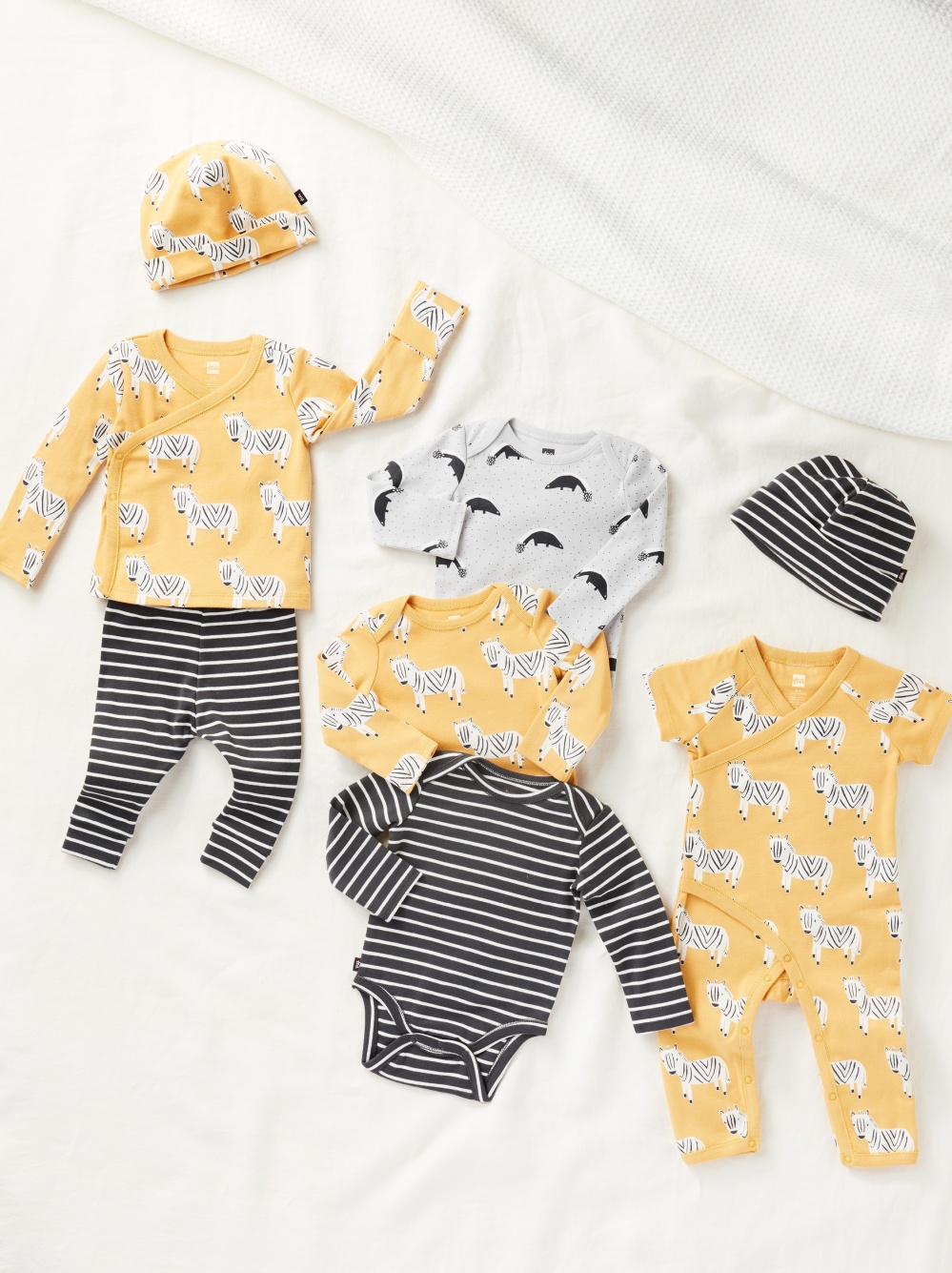 Fall Faves Set 