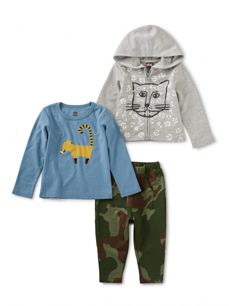 Cats & Coatis Set