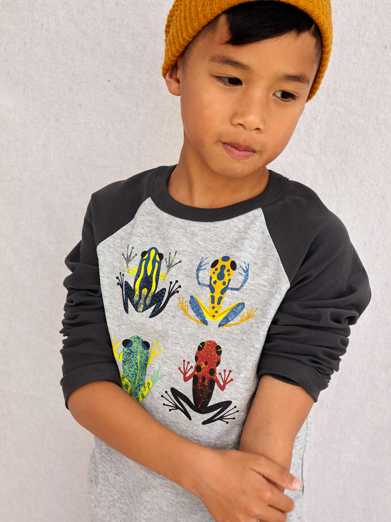 Cloud Forest Frogs Raglan Grap Tee