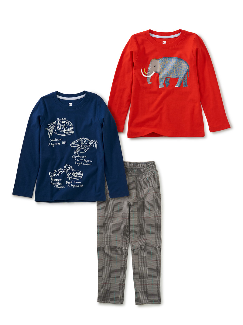 Colossal Fossils Set