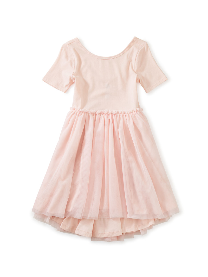 Tulle Sleeve Ballet Dress