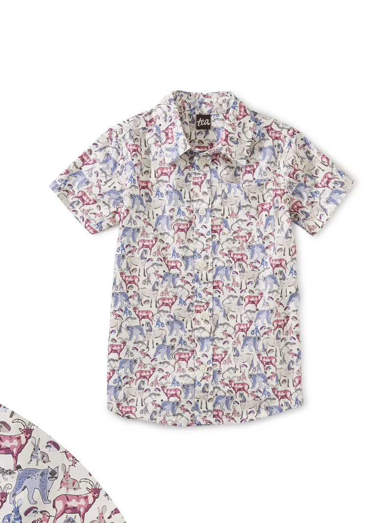 Button Up Shirt