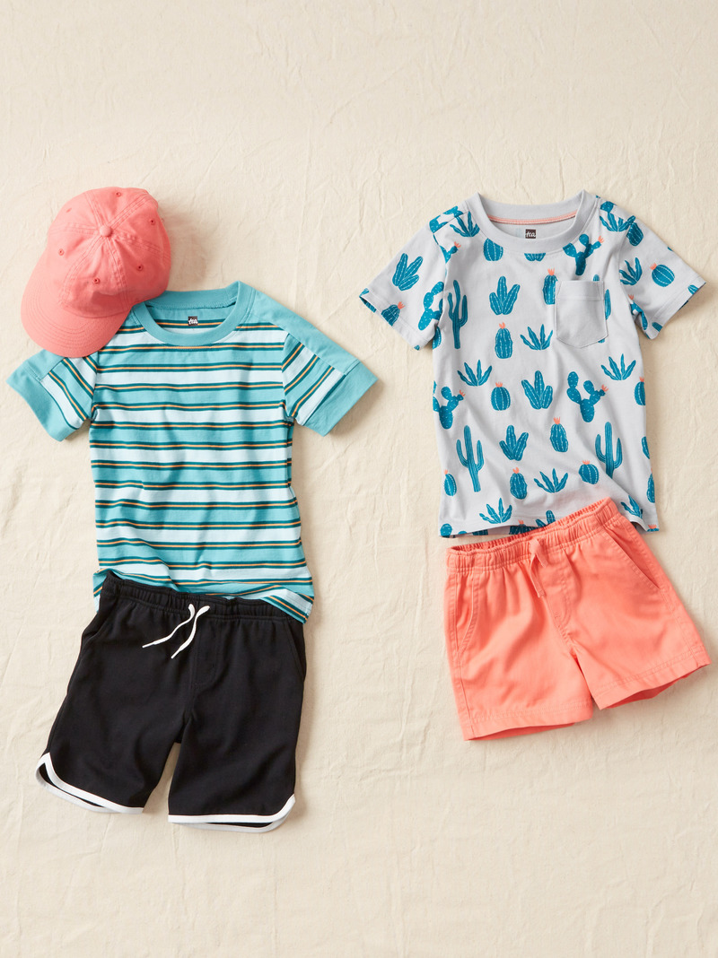 Succulent Stripes Set