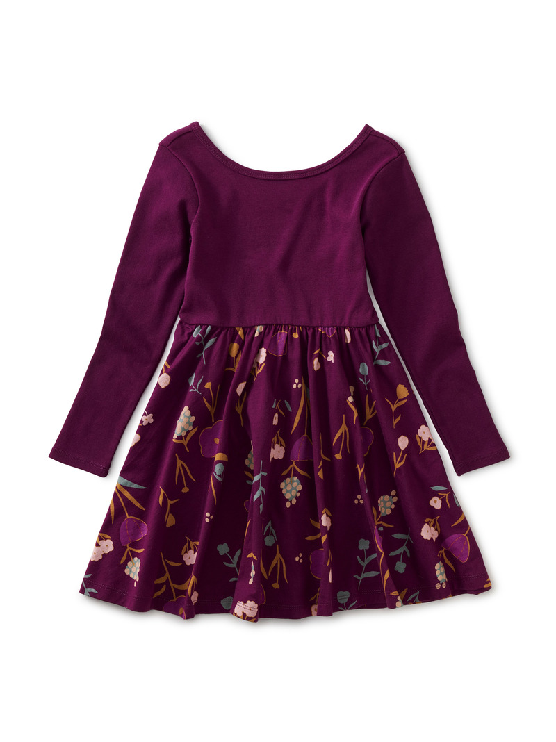 Ballet Skirted Dress