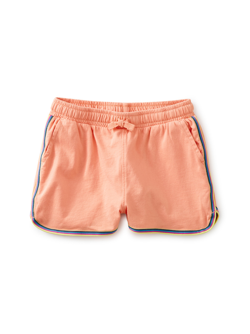 Rainbow Stripe Track Shorts