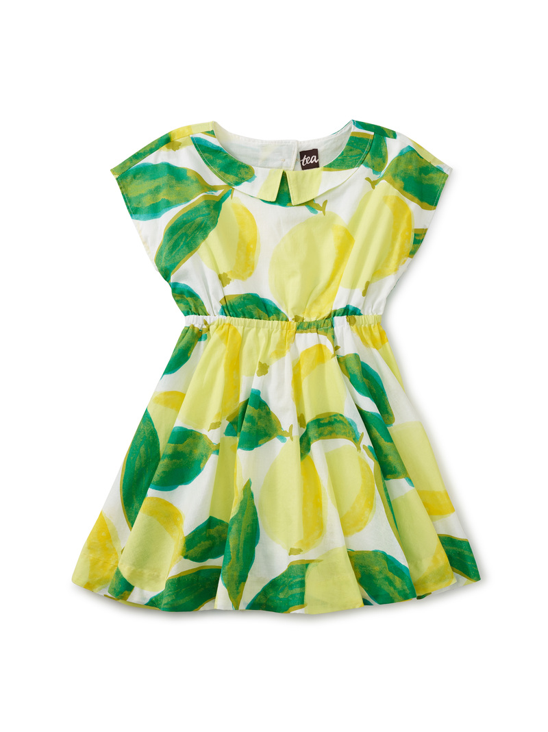 Collared Skirted Dress