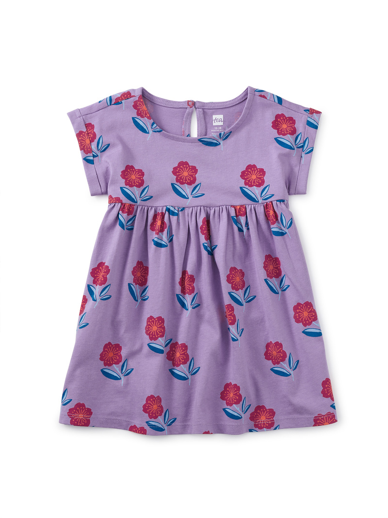 Short Sleeve Empire Baby Dress