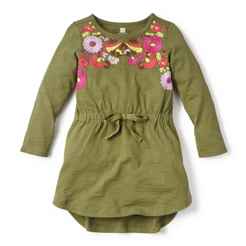 Rayen Embroidered Dress