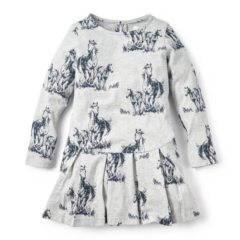 Criollo Skater Dress