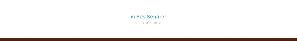 Vi Ses Senare! SEE YOU SOON!