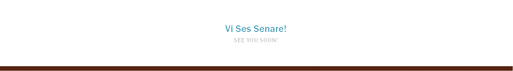 Vi Ses Senare! SEE YOU SOON!