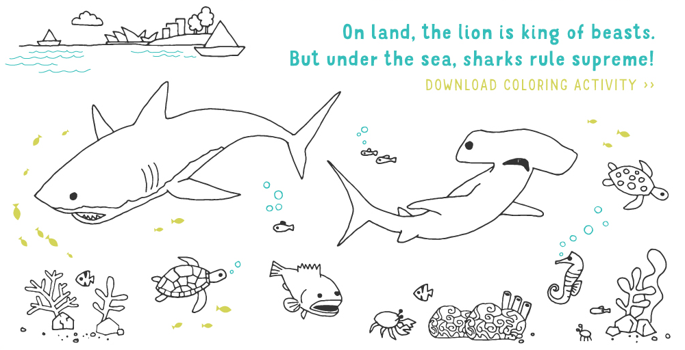 On land, the lion is king of beasts. But under the sea, sharks rule supreme! Download coloring activity