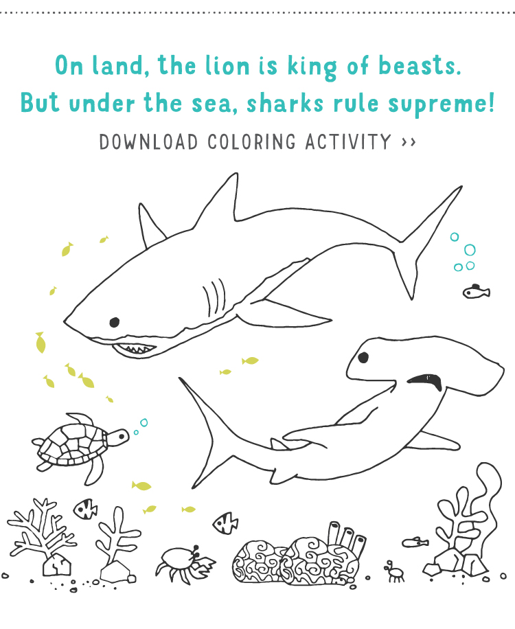 On land, the lion is king of beasts. But under the sea, sharks rule supreme! Download coloring activity